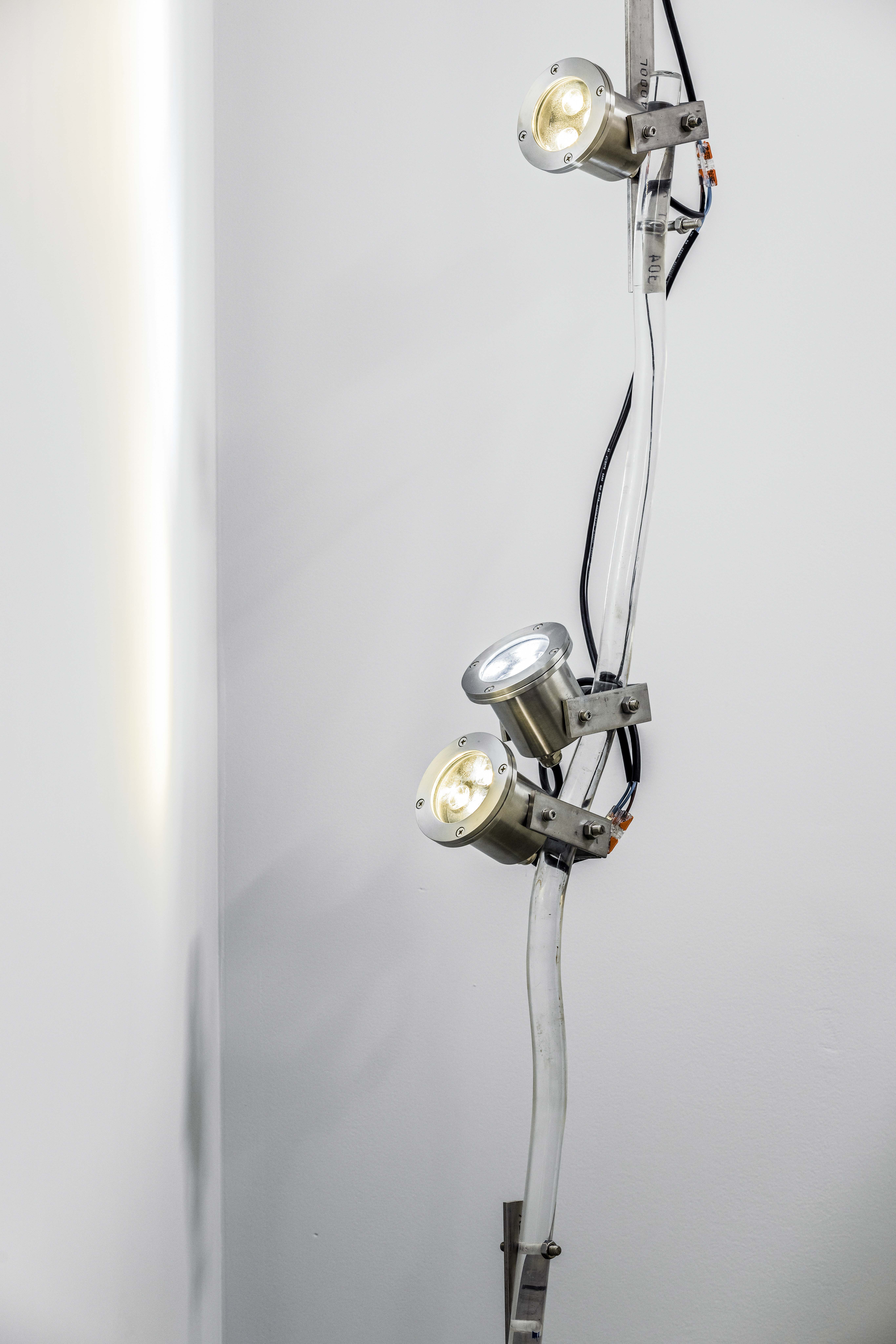 020. Rhyker shop - 31